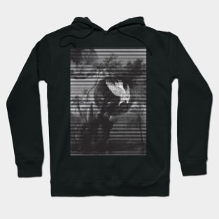 Nature exploration Hoodie